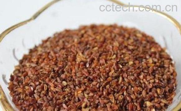 苦荞茶和大麦茶的区别-0