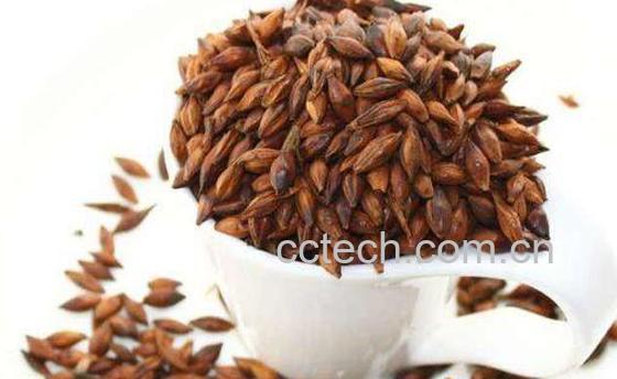 苦荞茶和大麦茶的区别-1