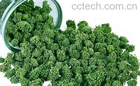 三七花茶的功效与作用及禁忌-0