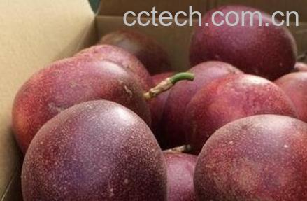 百香果皮可以吃吗 百香果皮怎么吃-0