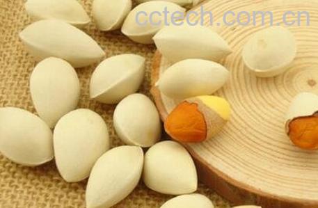 银杏果怎么吃最好吃 银杏果吃有什么好处-0