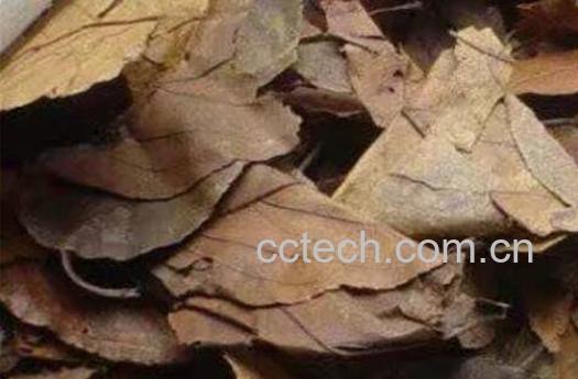 三皮罐茶叶的功效-0