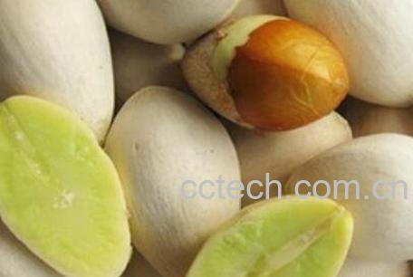 银杏果怎么吃最好吃 银杏果吃有什么好处-1