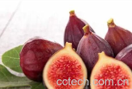 无花果的皮可以吃吗 无花果皮的功效与作用-0