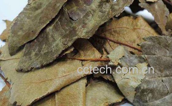 三皮罐茶叶的功效-1