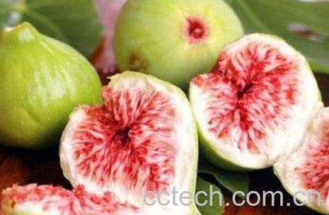 无花果的皮可以吃吗 无花果皮的功效与作用-1