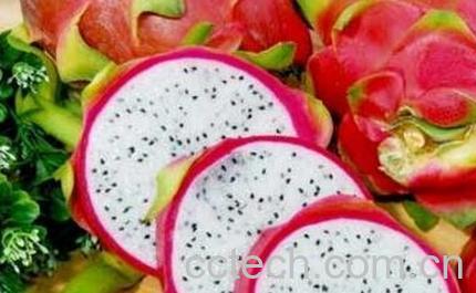 火龙果皮能吃吗 火龙果皮的功效与作用-0