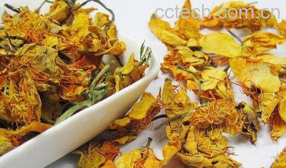 金莲花茶的功效与作用 金莲花茶的饮用禁忌-0