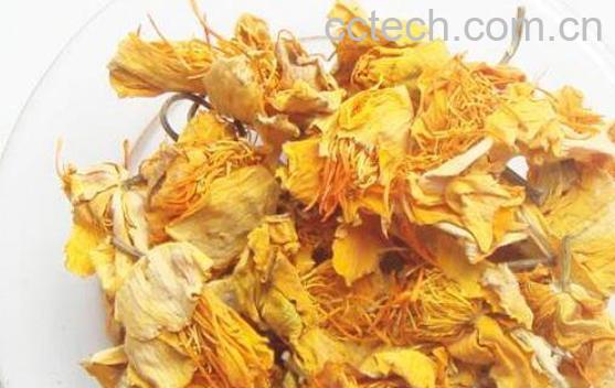 金莲花茶的功效与作用 金莲花茶的饮用禁忌-1