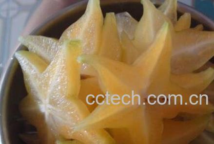 杨桃怎么吃 杨桃生吃图解-1