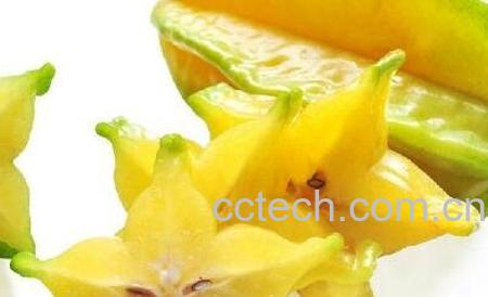 杨桃怎么吃 杨桃生吃图解-0