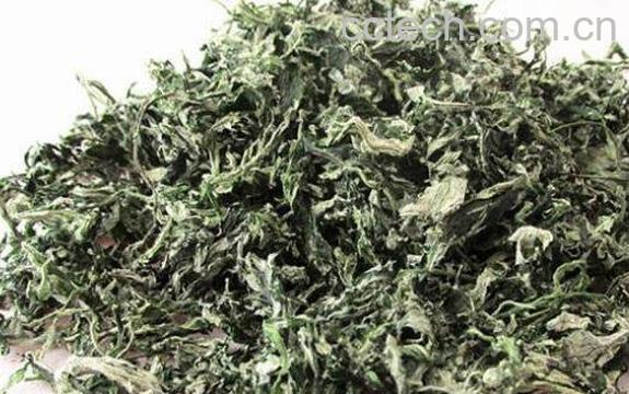 艾蒿茶的功效与作用 艾蒿茶的饮用禁忌-0