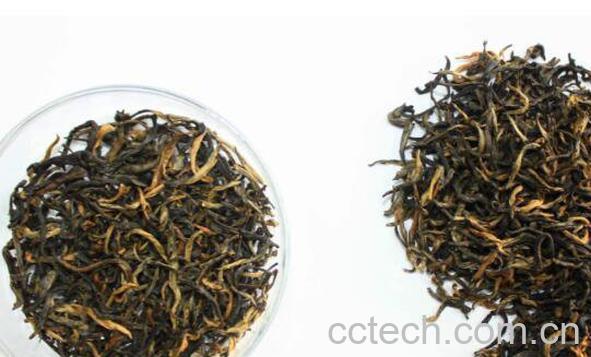 茶叶如何鉴别 常见茶叶鉴别方法-1