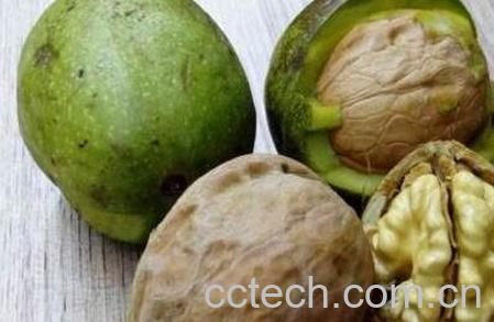 新鲜核桃如何去皮-0