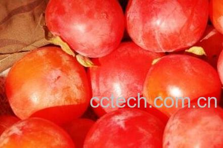 柿子怎么催熟 柿子如何快速催熟-0