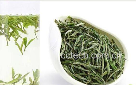 毛峰茶叶的功效与作用-1