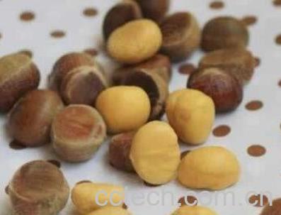 板栗怎么去皮 常用板栗去皮技巧-1