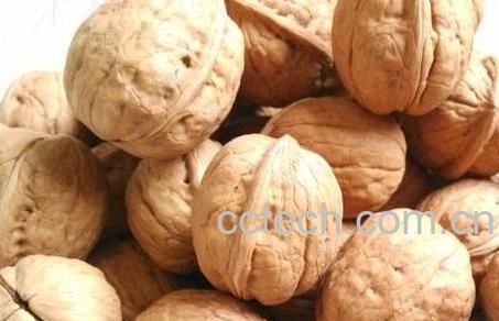 干核桃怎么去皮 核桃去皮方法技巧-1