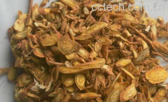 黄芩茶的功效与作用 黄芩茶有什么疗效-1