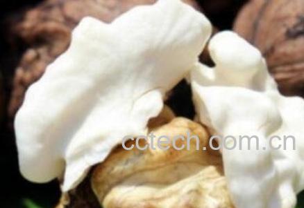 新鲜核桃仁怎么去皮-1