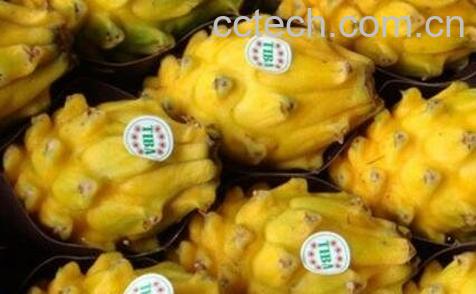 燕窝果的营养价值-0