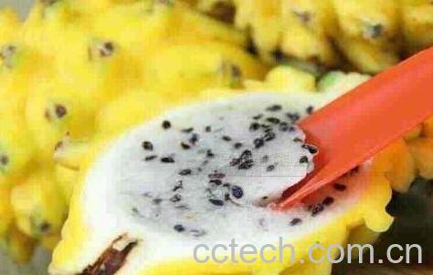 燕窝果的营养价值-1