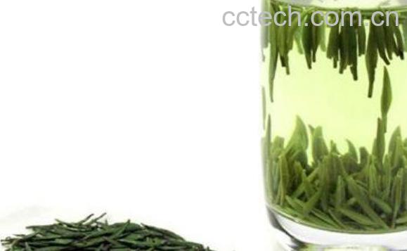 宁波白茶属于什么茶 宁波白茶的功效与作用-1