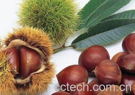 栗子怎么去皮 栗子快速去皮方法技巧-0