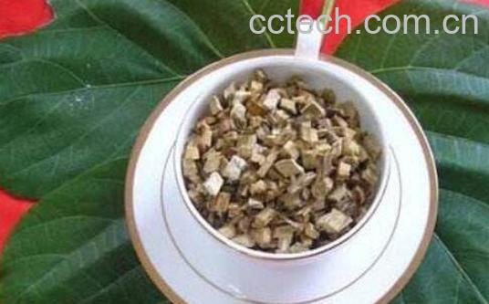 葛根茶的功效与作用 男人喝葛根茶的副作用-0