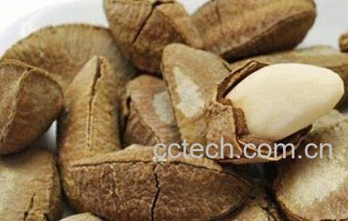 沙漠果的营养价值及功效作用-1