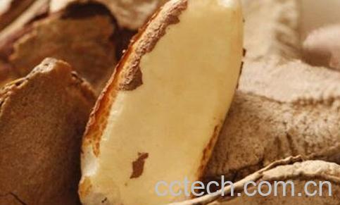 沙漠果的营养价值及功效作用-0