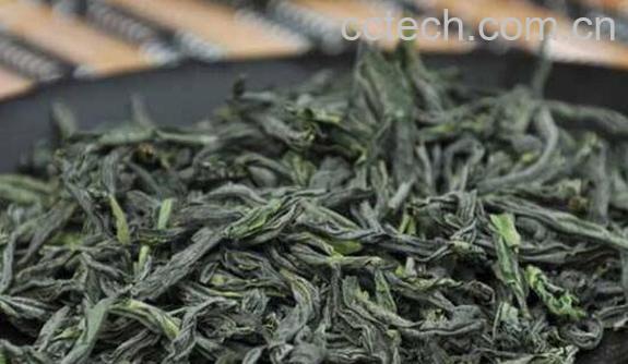 六安瓜片属于什么茶 六安瓜片怎么泡-1