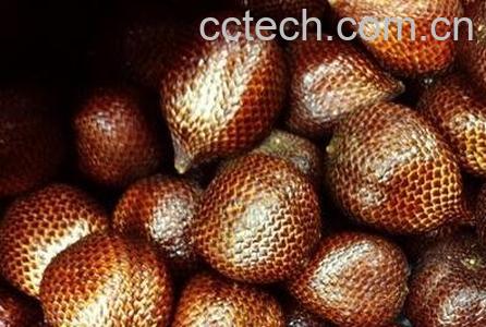  蛇油果的营养价值-0