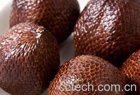  蛇油果的营养价值-1