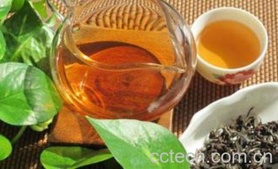 东方美人茶属于什么茶 东方美人茶的冲泡方法-1