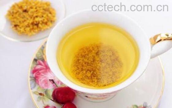 桂花茶的功效与作用 桂花茶可以天天喝吗-1