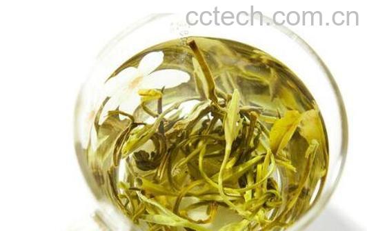 茉莉茶的功效与作用 茉莉茶的禁忌-1