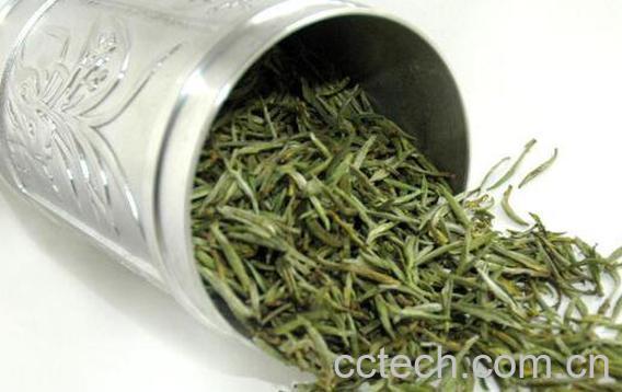 君山银针属于什么茶 君山银针怎么泡-1