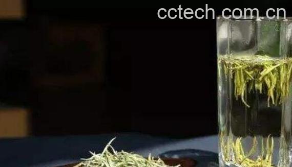 君山银针属于什么茶 君山银针怎么泡-0