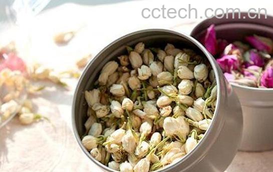 女孩喝茉莉茶的好处-0