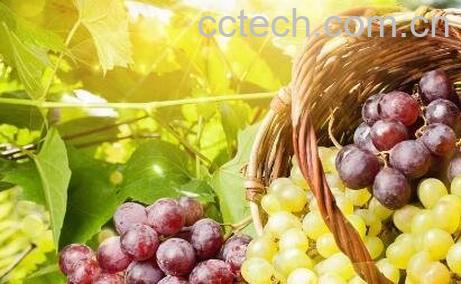 什么水果去火 能降火的水果介绍-0