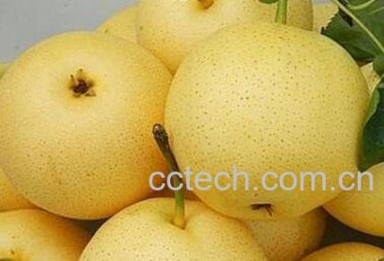 什么水果去火 能降火的水果介绍-1