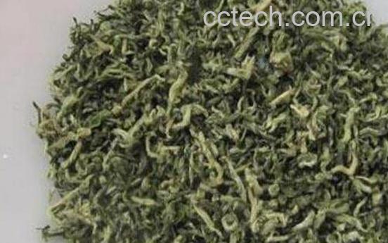 云雾茶属于什么茶 云雾茶的冲泡方法-1