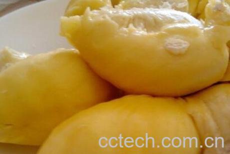 榴莲不能和什么一起吃 吃榴莲的禁忌-0