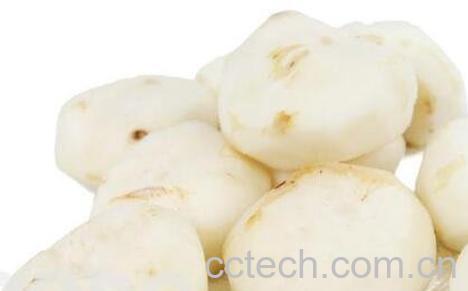 马蹄果的功效与作用-1