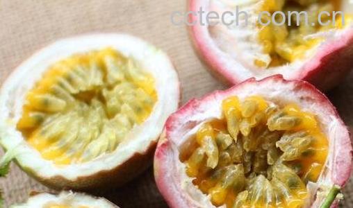 巴西果的营养价值-1