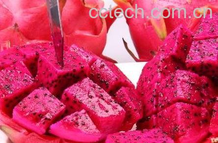 吃火龙果的好处 吃火龙果的坏处-0