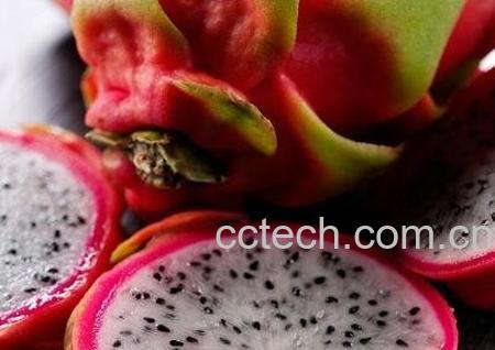 吃火龙果的好处 吃火龙果的坏处-1