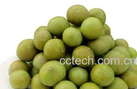 仁面果的功效与作用-1