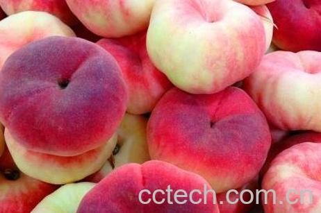 吃桃子的好处与作用-0